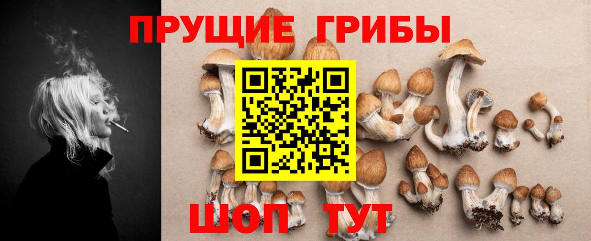 наркошоп  Миасс  Псилоцибиновые грибы GOLDEN TEACHER 